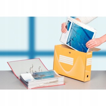 Pudło archiwizacyjne na dokumenty 100mm Standard żółte 128423 ESSELTE