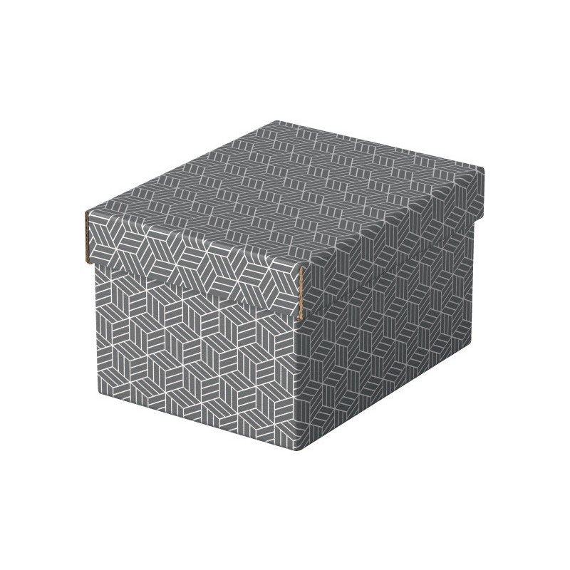 Pudełka domowe do przechowywania rozmiar S 3 sztuki szare 628281 ESSELTE