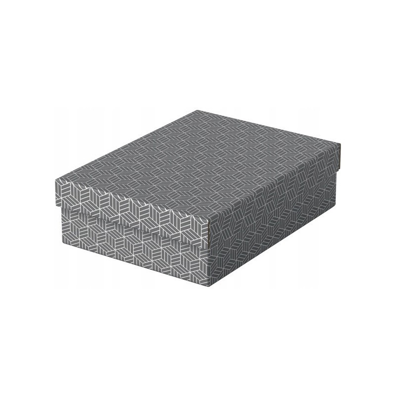 Pudełka domowe do przechowywania płaskie rozmiar M 3 sztuki szare 628285 ESSELTE