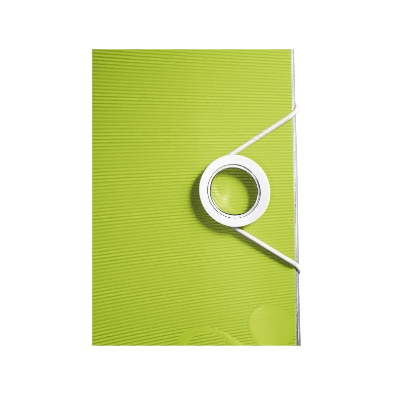 Segregator A4/50mm ACTIVE WOW zielony 11070064 LEITZ 180